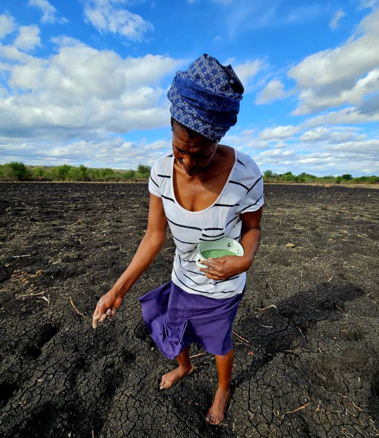TRALO Agricultural Initiative
